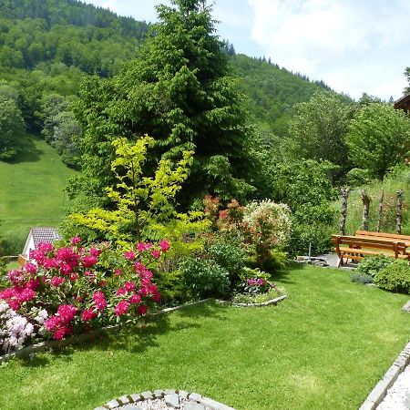 Апартаменты Haus Zur Eule Тодтнау Экстерьер фото