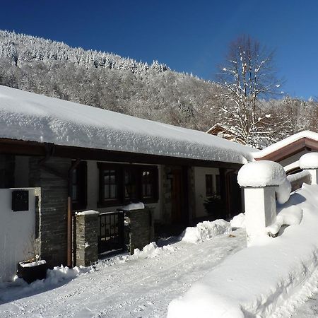 Апартаменты Haus Zur Eule Тодтнау Номер фото