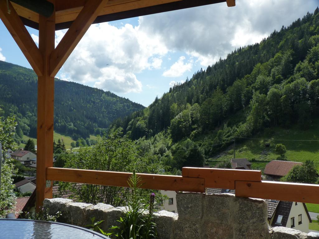 Апартаменты Haus Zur Eule Тодтнау Номер фото